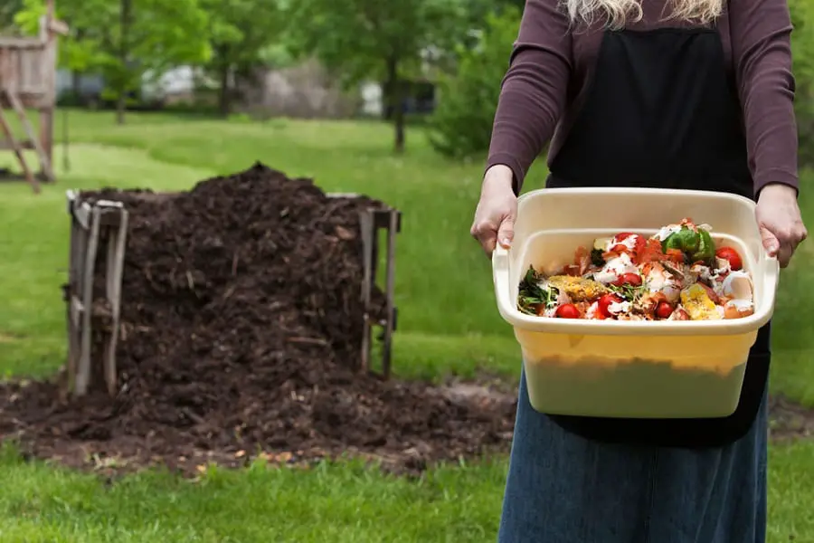 How To Start A Compost Pile - Tips And Tricks