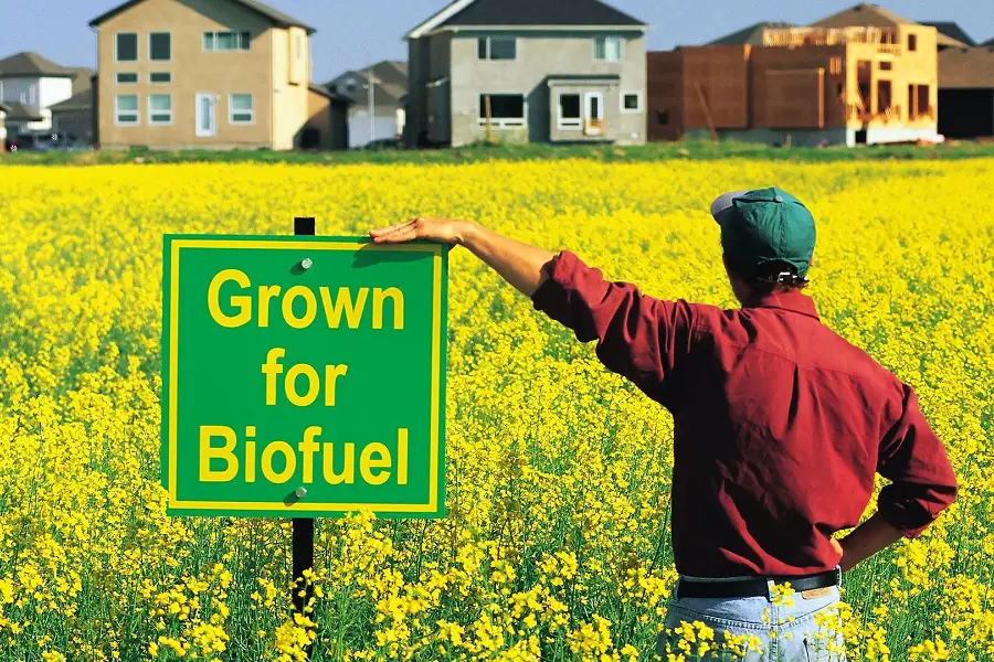 Ultimate Guide To Biofuel