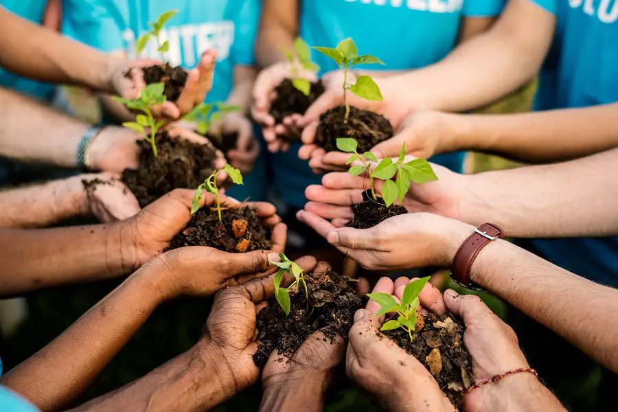 The Best Environmental Nonprofits You Can Help Today