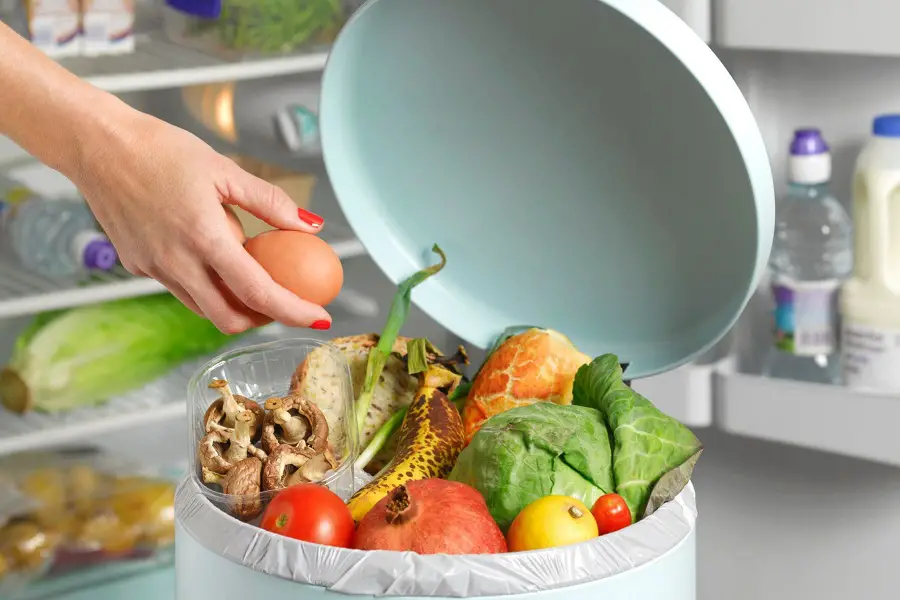 10 Tips For Reduce Food Waste By Increasing Shelf Life
