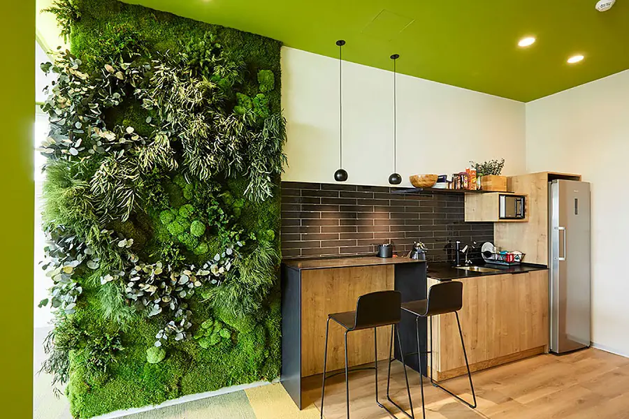 How To Make An Indoor Green Wall 1