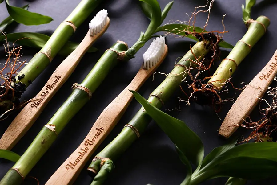 Best Bamboo Toothbrush: Environmentally Friendly Way To Clean Teeth