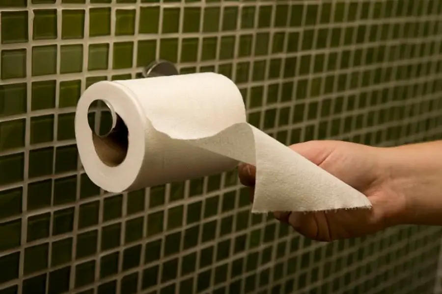 Best Recycled Toilet Paper: What Should You Use In 2020